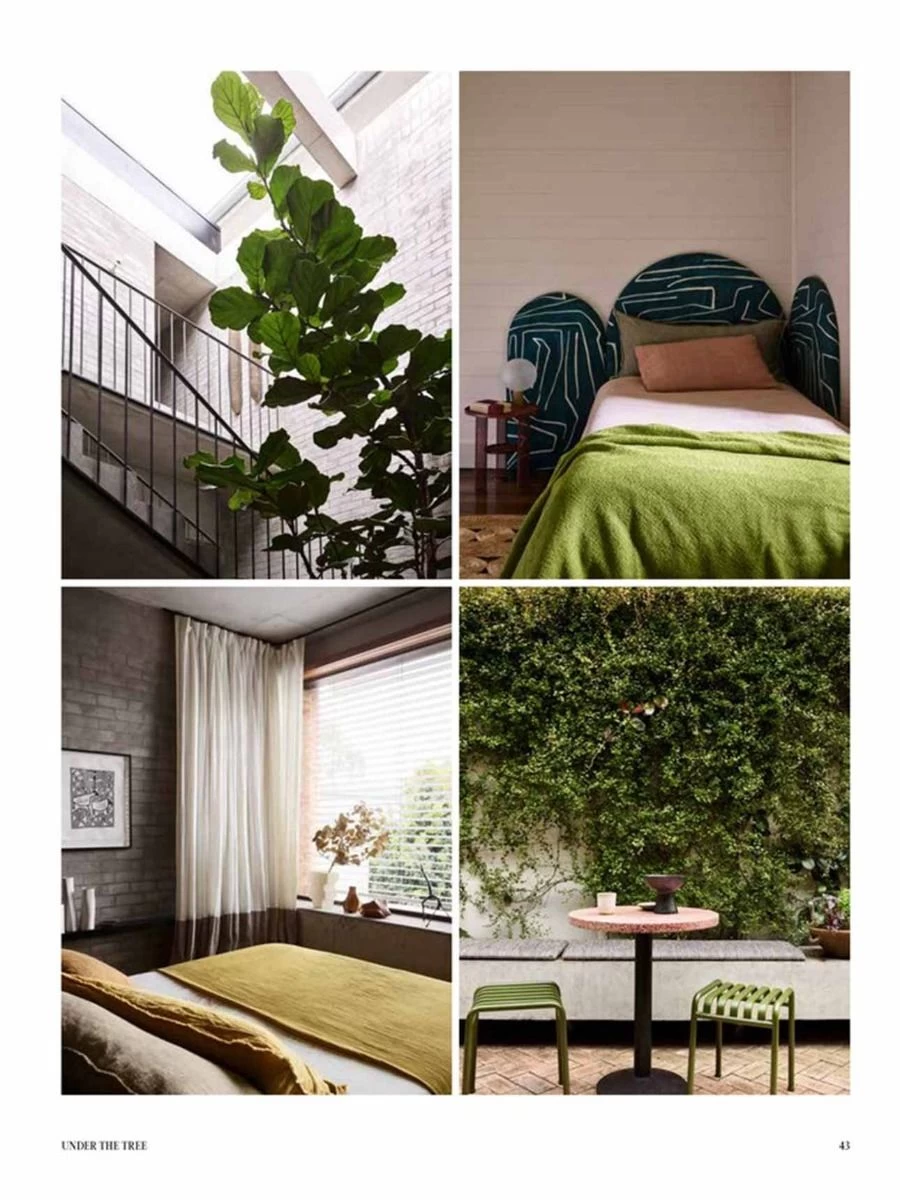 Arent & Pyke 4 Arent & Pyke - Image 2