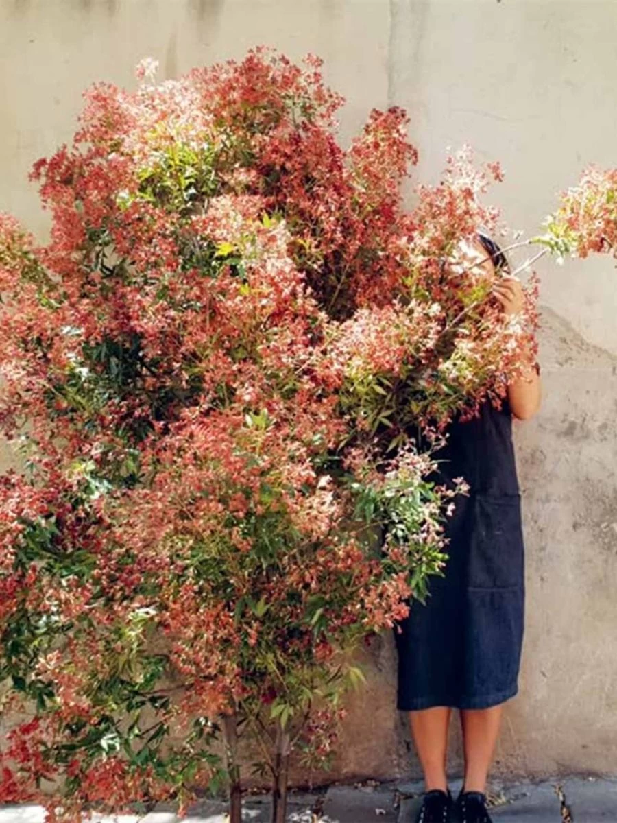 Bush Flowers - Image 3