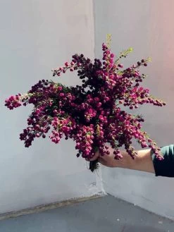 Bush Flowers -Homewares Shop book bush flowers australian flowers foliage for decoration design cassandra hamilton michael avlou 4