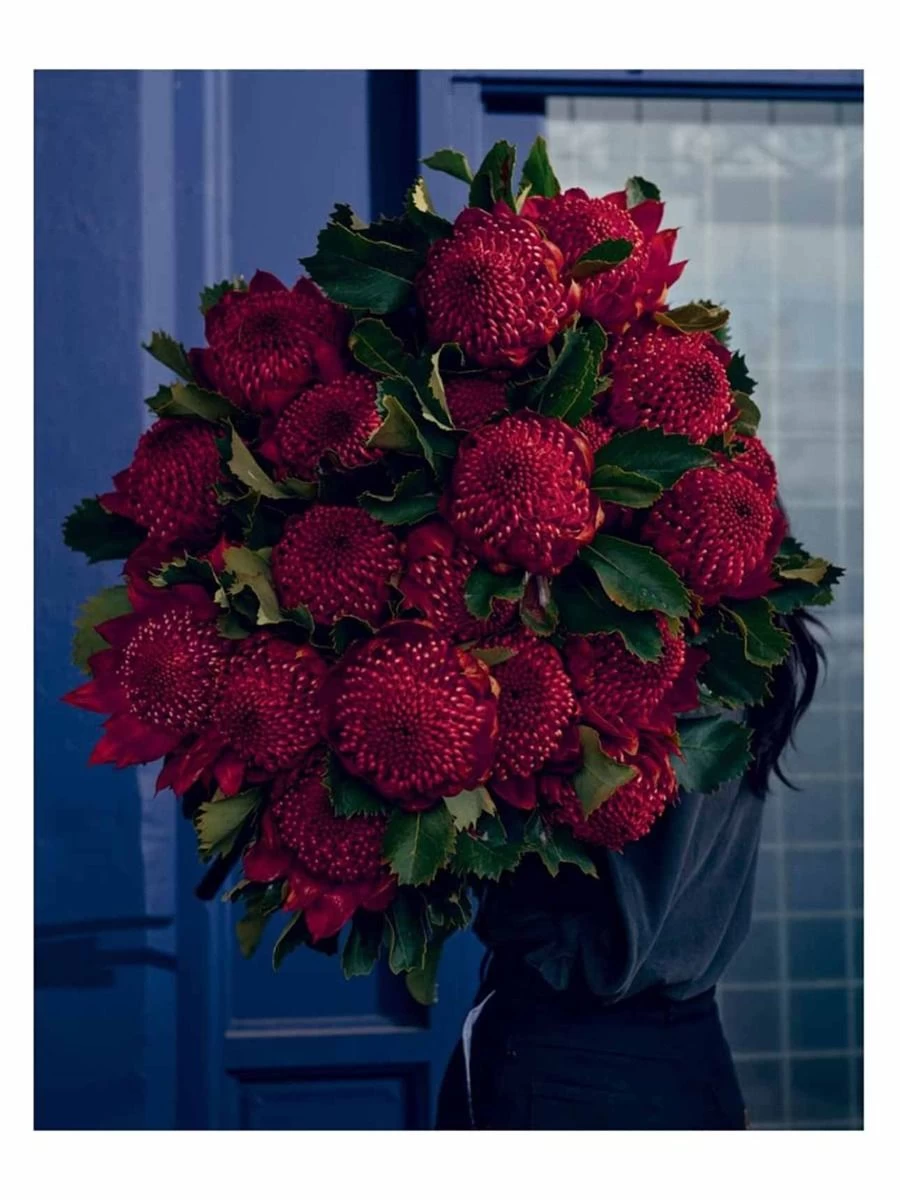 Bush Flowers - Image 6