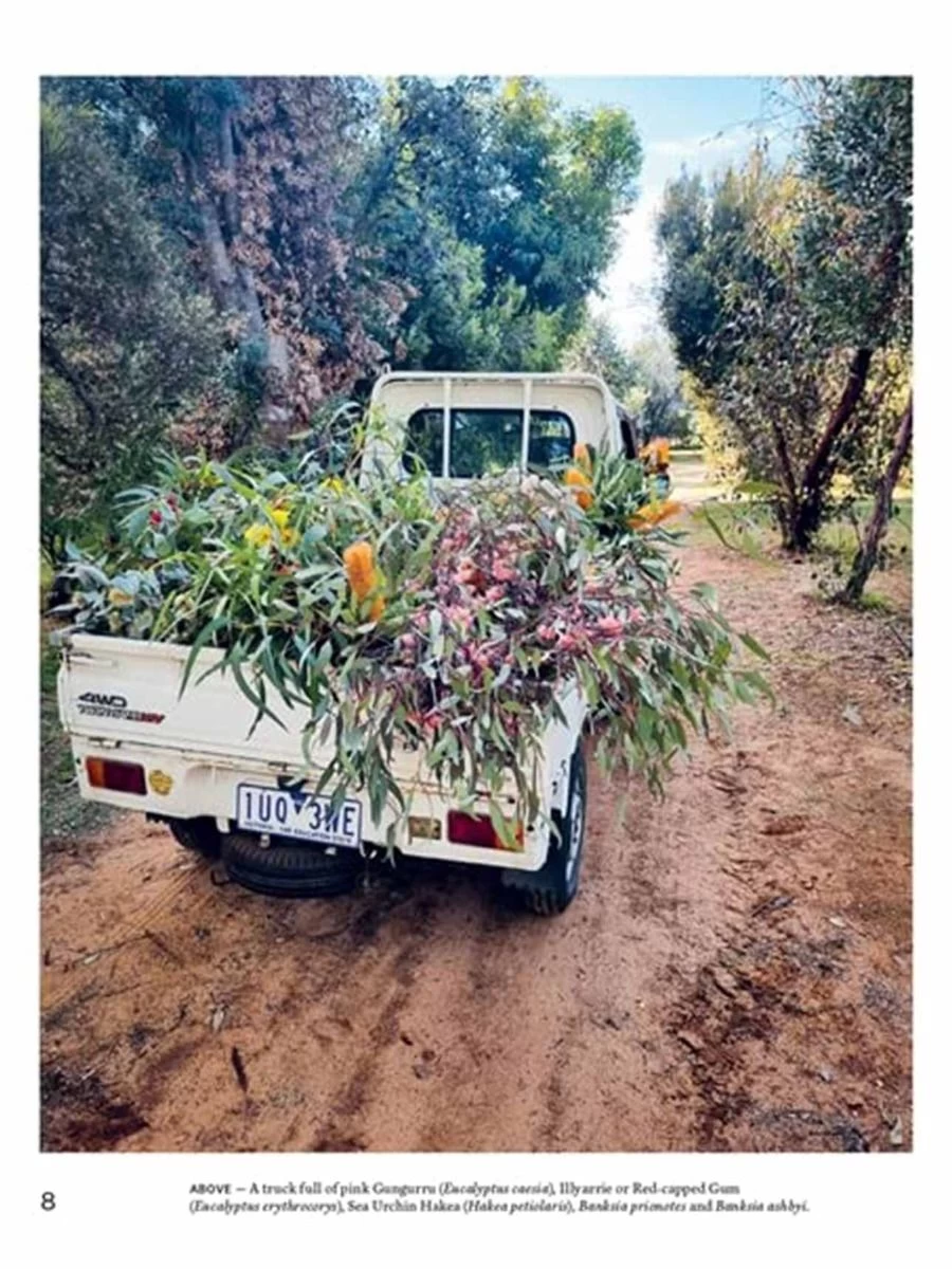 Bush Flowers - Image 2