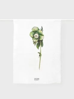 Hellebore Tea Towel