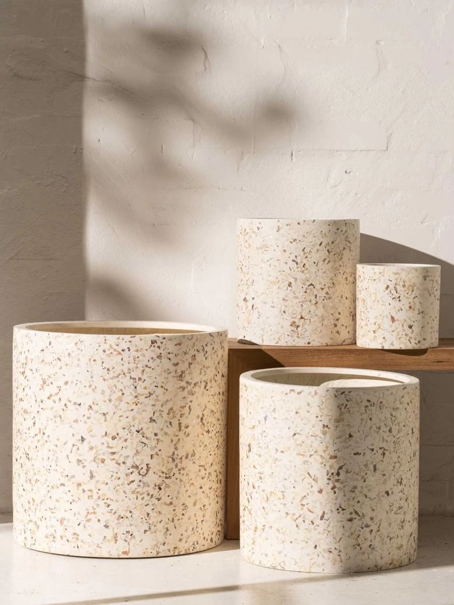 Shell Planter - Small 4 Shell Planter - Small - Image 2