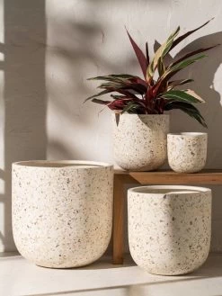 Inken Lightweight Shell Pot - Small -Homewares Shop inartisan inken lightweight shell finish curved pots 1 1