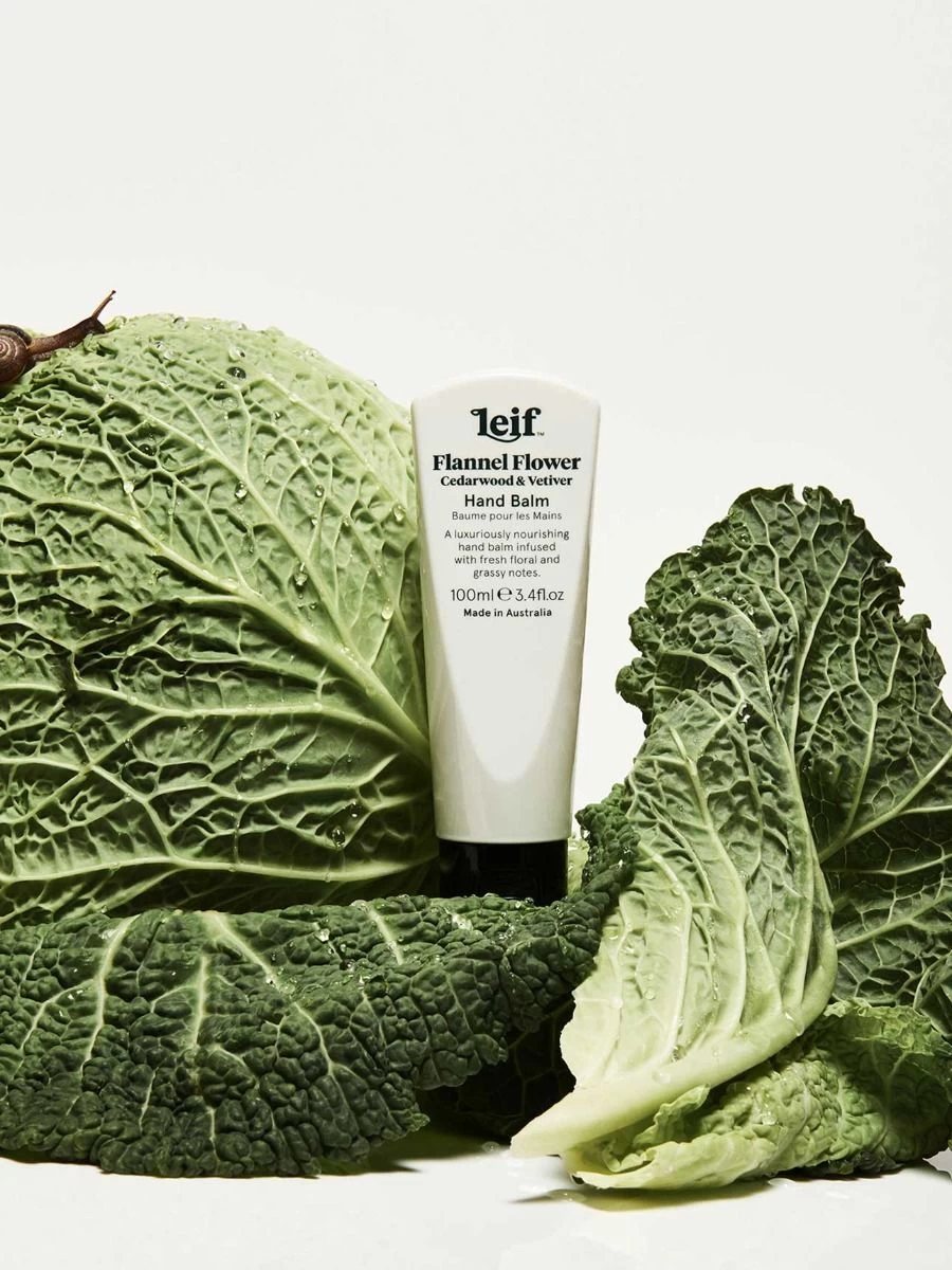 Flannel Flower Hand Balm 100ml 4 Flannel Flower Hand Balm 100ml - Image 2