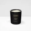 Tuscan Fig Candle 2 Tuscan Fig Candle -Homewares Shop lumira tuscan fig scented candle