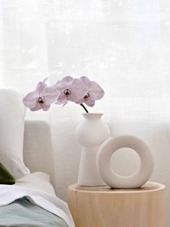 Bianca Vase -Homewares Shop paola joy bianca vase matte white 5