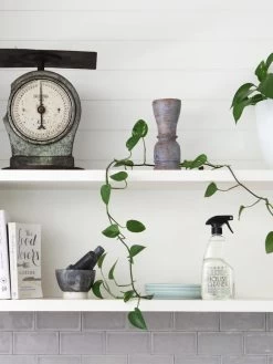 Lemon Myrtle House Cleaner 500ml -Homewares Shop planet luxe house cleaner shelf side