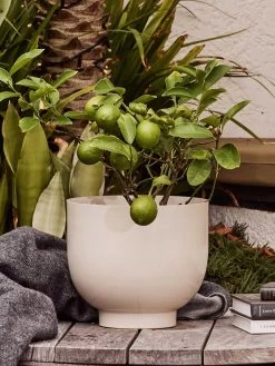 Yaamur Small Planter - Stone -Homewares Shop saarde yaamur planter clay 3