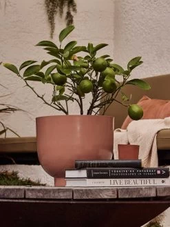 Yaamur Large Planter - Pink Clay -Homewares Shop saarde yaamur planter guava 1