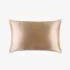 Slip Silk Pillowcase - Caramel 1 Slip Silk Pillowcase - Caramel -Homewares Shop slip pillowcase caramel 1